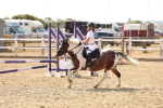 SBM_000675