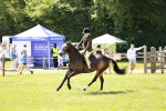 SBM_15461
