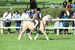 SBM_50332