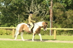 SBM_67379