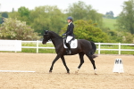 SBM_006923