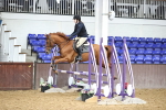 SBM_002641