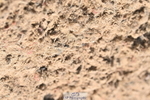 240509A-125819-01919