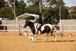 SBM_28173