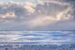 WINTER portfolio