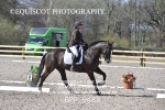 BPP_9488
