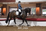 BPP_2566