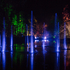The Enchanted Forest