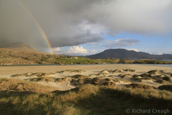 Rainbow Show