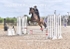 BPP_5119