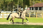 SBM_67637