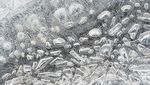 WINTER'S EDGE #2, 2019 - LONG POINT