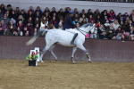 SBM_003796