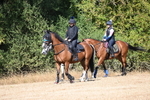 WJ6_8344