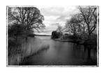Old Montrose BW