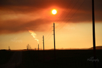 Wildfire Sun