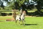 SBM_36447