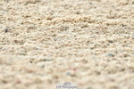230708A-140315-03355