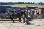 _DSC0564