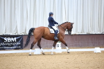 SBM_008487