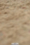 230916A-152736-04699