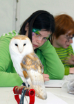3 IMG_8617