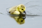 20120520-_MG_0008
