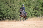 WJ6_6866