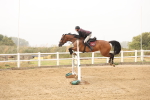 SBM_024178