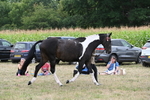 WJ6_5658