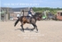 BPP_2442