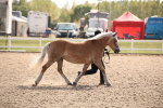 SBM_07091