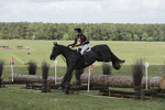 BVHT 140517  IXC -199