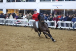 SBM_004076