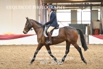 BPP_8519