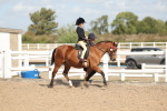 SBM_23198