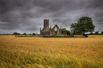 Ballynafagh portfolio