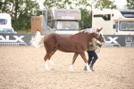 SBM_08270