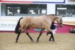 SBM_23658