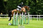 230706-123012-02076_Cls 2 Foxhunter  120m Open