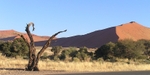 Arid landscape with dunes