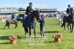 BPP_6935