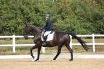 SBM_001929