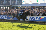 141023-Race 5-Certain Lad-0543