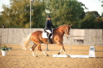 SBM_31537