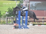 BPP_5533