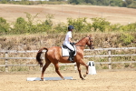 SBM_002909