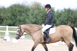 SBM_017459