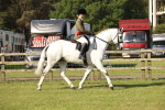 SBM_10711