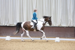 SBM_000954